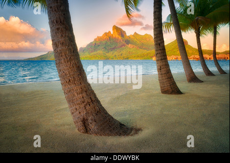 Spiaggia di sabbia con palme e Mt. Otemanu. Bora Bora. Polinesia francese.