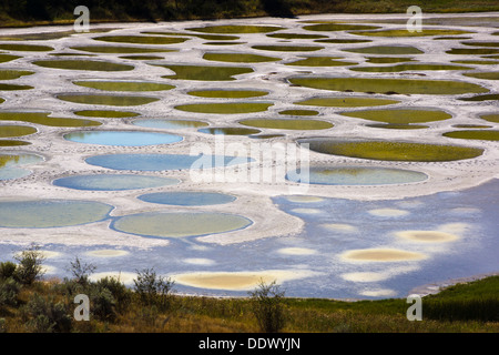 Dettaglio del lago maculato, soluzione salina di un alcale endorheic lago situato a nord-ovest di Osoyoos, regione Okanagan-Similkameen, BC, Canada. Foto Stock