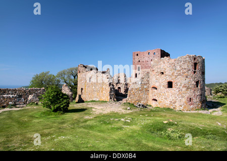 Il castello di Hammershus rovina con un caratteristico albero su di Bornholm, Danimarca Foto Stock