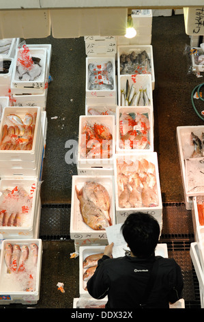 I pesci sono in vendita presso l'Osaka Municipal centrale mercato all'ingrosso in Giappone. Foto Stock