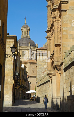 Salamanca, Calle de los Libreros. Via de la Plata, Libreros street, Castiglia-Leon, Spagna. Foto Stock