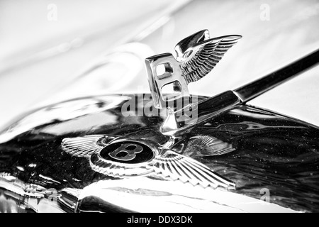 L'emblema sul cofano di full-size auto di lusso Bentley S1 Coupe (bianco e nero) Foto Stock