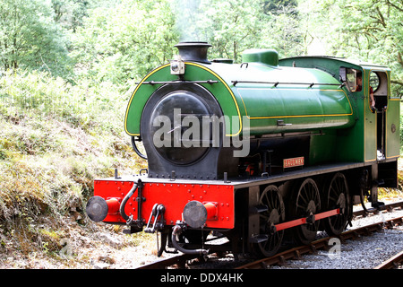 Gwili Railway - Rheilffordd Ager y Gwili Haulwen 0-6-0 serbatoio a sella motore a vapore Foto Stock