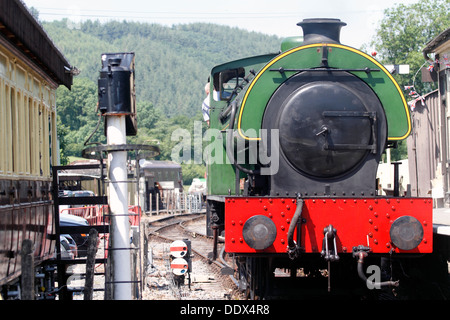 Gwili Railway - Rheilffordd Ager y Gwili Haulwen 0-6-0 serbatoio a sella motore a vapore Foto Stock