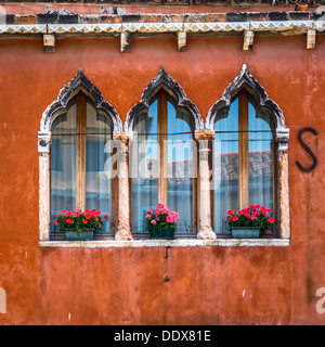 Tipiche di windows e una parete colorata di Murano, Venezia, Italia Foto Stock