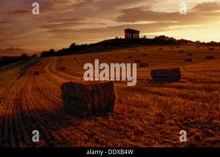 Haystacks vicino al monumento Penshaw, vicino Penshaw, Houghton le Spring, County Durham, England, Regno Unito Foto Stock