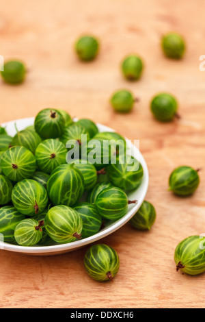 Piatto bianco riempito con piante succulente succosa fresche e mature Ribes verde su un vecchio tavolo di legno alto. Foto Stock