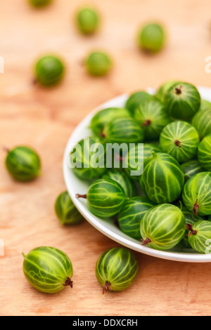 Piatto bianco riempito con piante succulente succosa fresche e mature Ribes verde su un vecchio tavolo di legno alto. Foto Stock