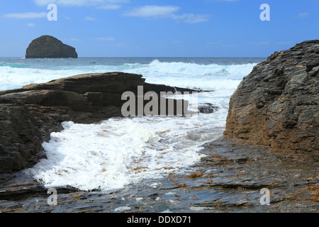 Trebarwith Strand, tarda estate alta marea con Gull rock, North Cornwall, England, Regno Unito Foto Stock