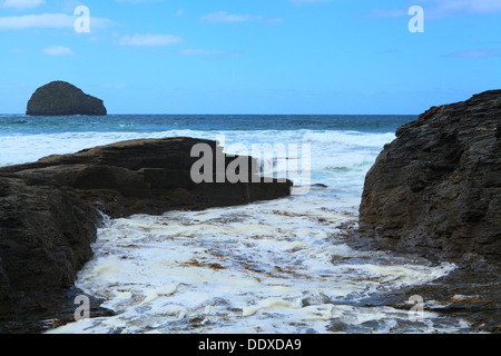 Trebarwith Strand, tarda estate alta marea con Gull rock, North Cornwall, England, Regno Unito Foto Stock