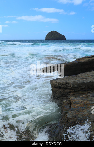 Trebarwith Strand, tarda estate alta marea con Gull rock, North Cornwall, England, Regno Unito Foto Stock