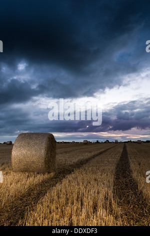 Le balle di paglia attendono raccolta dopo il raccolto come aria di tempesta overhead. Foto Stock