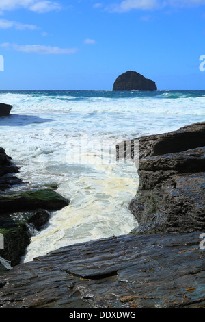 Trebarwith Strand, tarda estate alta marea con Gull rock, North Cornwall, England, Regno Unito Foto Stock