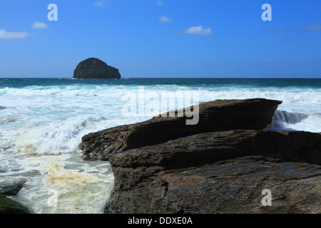 Trebarwith Strand, tarda estate alta marea con Gull rock, North Cornwall, England, Regno Unito Foto Stock