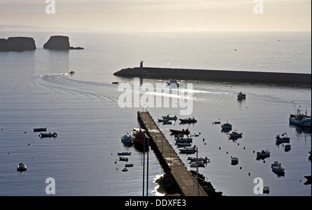 Barca porto lasciando all'alba, Sagres Algarve Foto Stock