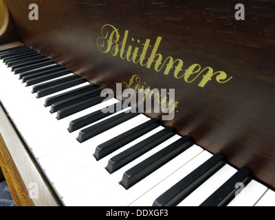 Bluthner pianoforte dettaglio 37400, chiavi, meccanismo, Lipsia, Germania Foto Stock