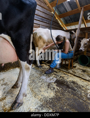 Donna vacca di mungitura, Arvselen, Dalarna, Malung-Sälen kommun, Svezia Foto Stock