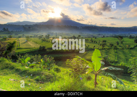 Indonesia, Bali, Tirta Gangga, terrazze di riso con Gunung Lempuyang e Gunung Seraya in background Foto Stock