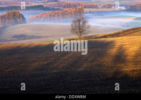 Sunrise in Biei, Foto Stock