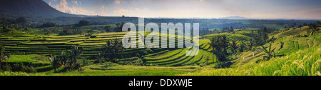 Indonesia, Bali, centrale Monti, Jatiluwih campi di riso (Sito UNESCO) Foto Stock
