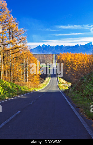 Strada di Daisetsuzan gruppo vulcanica, Hokkaido Foto Stock