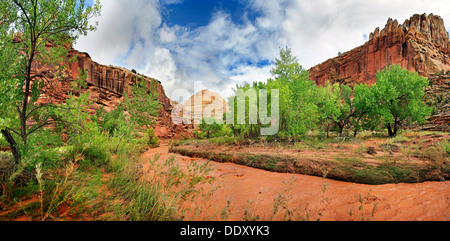 Fremont fiume colorato di rosso dal fango con alberi dalle foglie verdi dopo una tempesta Foto Stock