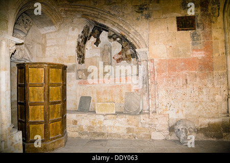 La vecchia cattedrale, Salamanca, Spagna, 2007. Artista: Samuel Magal Foto Stock