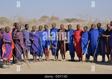 Gli uomini masai dancing Foto Stock