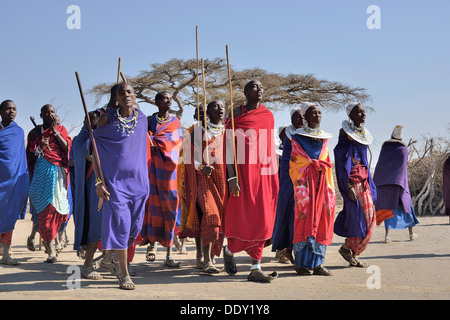 Gli uomini masai dancing Foto Stock