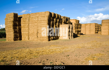 Rettangolare impilate balle di paglia Foto Stock