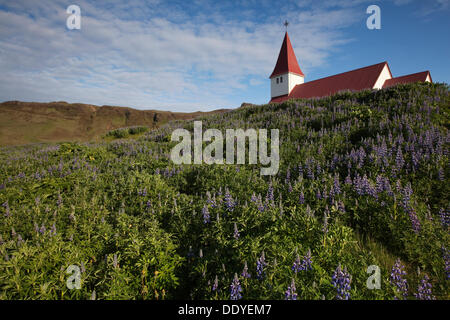 La chiesa, vik mi myrdal, sud Islanda, Islanda, europa Foto Stock
