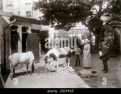 Cavalli e un cane in un cantiere stabile nel centro di Landskrona, Svezia, 1912. Artista: sconosciuto Foto Stock