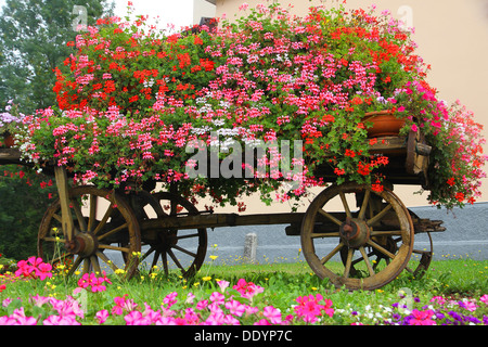 Antico carro in legno con molti blooming gerani in estate in montagna Foto Stock