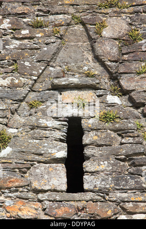 Dettaglio di una finestra di San Kevin la chiesa di Glendalough (Contea di Wicklow, Irlanda Foto Stock