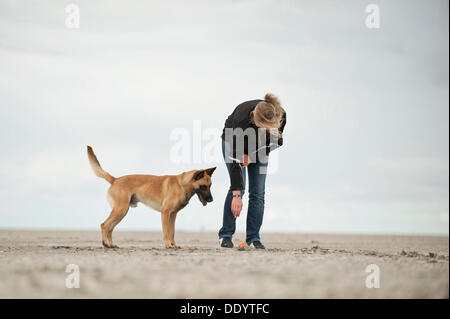 Donna con un Hollandse Herdershond, Pastore olandese sulla spiaggia, Sankt Peter-Ording, Schleswig-Holstein Foto Stock