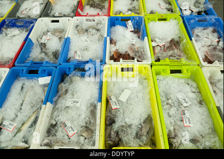 Scatole di pesce al mercato del pesce e delle aste o banditore a Concarneau Bretagna Francia Foto Stock