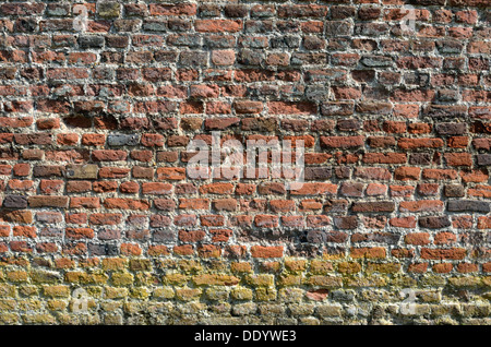 Un molto vecchio rosso muro di mattoni Foto Stock