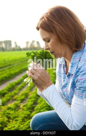 La donna la raccolta di prezzemolo in un campo Foto Stock