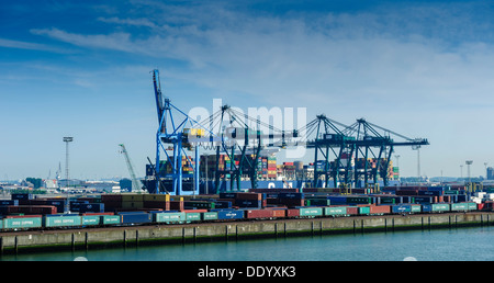 Una nave portacontainer essendo caricati nel porto di Zeebrugge, Belgio. Foto Stock