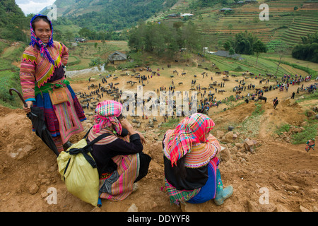 Fiore donne Hmong che si affaccia sul mercato di Buffalo, può cau mercato, vicino a Bac Ha, Vietnam Foto Stock