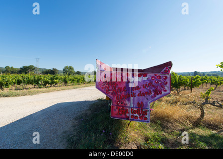 Verniciato colorato fattoria fuori del rimorchio Domaine Berthet-Rayne vigna a Cairanne Foto Stock