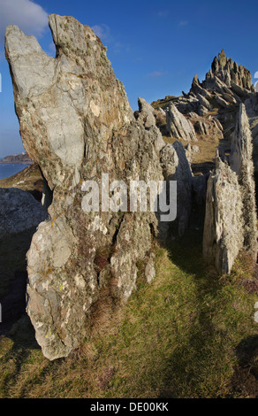 Rocce su Motte Point, Mortehoe, vicino a Woolacombe, Devon nord, Gran Bretagna. Foto Stock