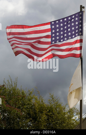 Bandiera degli Stati Uniti d'America Foto Stock