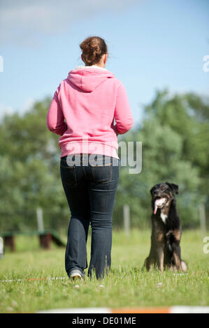 Donna longeing un misto di cane di razza Foto Stock