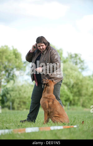 Donna longeing un misto di cane di razza Foto Stock