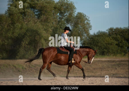 La donna a cavallo di un trotto Quarter Horse Foto Stock