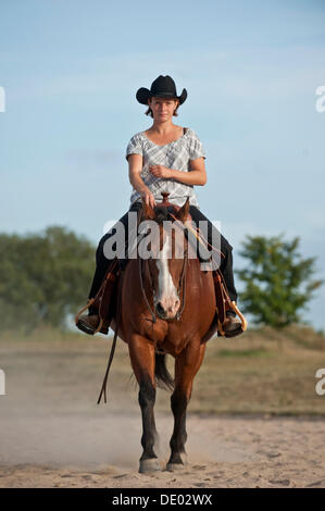 La donna a cavallo di un trotto Quarter Horse Foto Stock