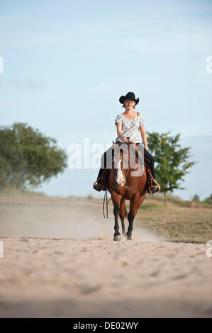 La donna a cavallo di un trotto Quarter Horse Foto Stock