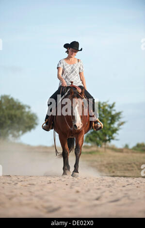 La donna a cavallo di un trotto Quarter Horse Foto Stock