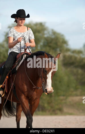 Donna su un Quarter Horse Foto Stock